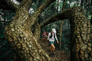 BIB: 
                            <button type="button" onclick="openModal(25669351)" class="btn btn-primary btn-sm float-right btn-popup" data-toggle="modal" data-target=".modal-high-quality">
                        <i class="fas fa-shopping-cart"></i> Add to Cart
                    </button>
                                            <button type="button" onclick="isThisMe(25669351, true)" class="btn btn-success btn-sm float-right btn-popup btn-isme hidden" data-toggle="tooltip" data-placement="bottom" title="นี่คือรูปของคุณใช่ไหม คลิกที่นี่เพื่อเอาเข้าอัลบั้ม">
                        <i class="fas fa-plus"></i> Add to album
                    </button>
                    <button type="button" onclick="isThisMe(25669351, false)" class="btn btn-warning btn-sm float-right btn-popup btn-isnotme hidden">
                        <i class="fas fa-ban"></i> Remove from album
                    </button>